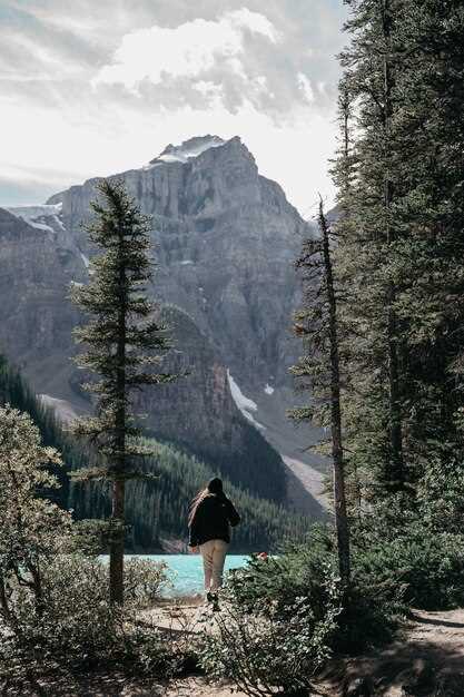 Choosing the Right National Park for Your Trekking Experience