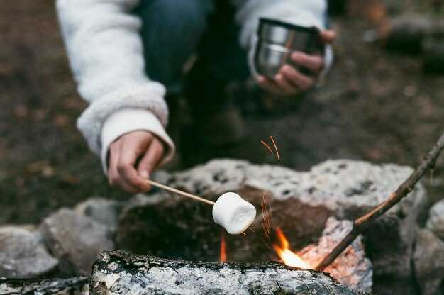 Building a Fire Lay that Overcomes Dampness