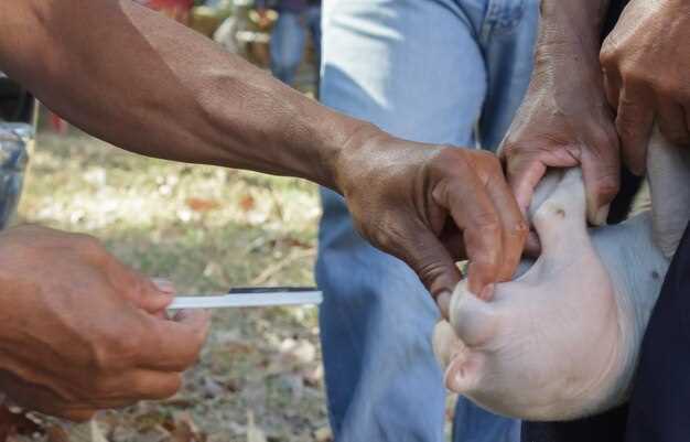 How to Treat Minor Injuries in the Field