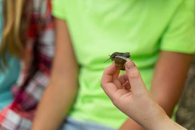 Immediate Actions for Snake Bites in the Field